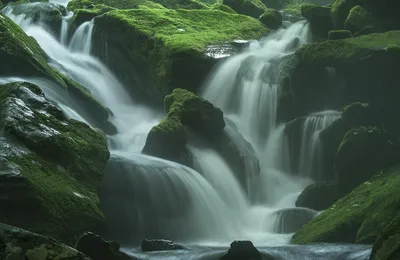 我爸：百无一用是书生