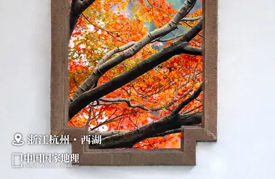 [博海拾贝1207]肚皮舞当然是有肚子才好看