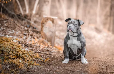 瘦不下来很多时候与自律无关，与意志无关，只是大家都太辛苦了而已