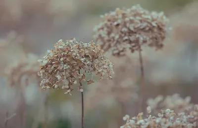 投资领域的人如果看起来什么都懂，大概率是什么都不懂