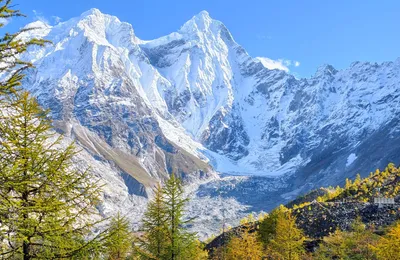 [博海拾贝1208]还小姐姐，这叫犯罪嫌疑人