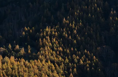 2017年7月，陆奇宣布了百度的一项新战略： All in AI