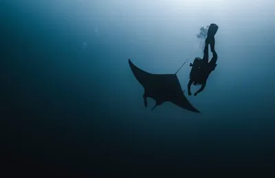 一篇新综述，关于日本人为什么没有性生活？