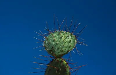 人突然发疯的后果