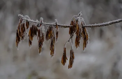 为什么别人一眼就知道你是个老实人呢？