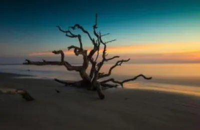 被改变人生的网红主播：新一年要翻倍地挣