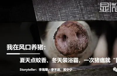 我在风口养猪：夏天点蚊香、冬天装浴霸