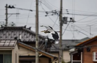 微语录精选1018：我的社交礼仪