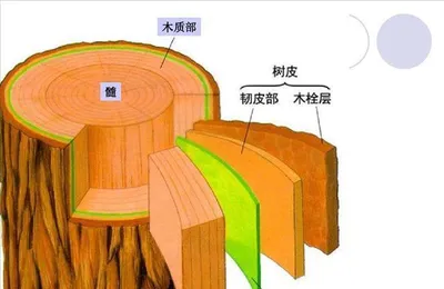 万万没想到，有一天我能看到这种科普，就又好笑又心酸