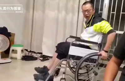 又菜又爱玩图鉴