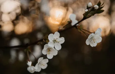 一个走投无路的同学